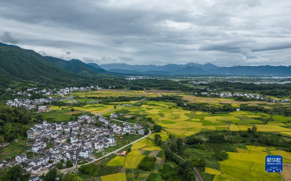 新大发国际